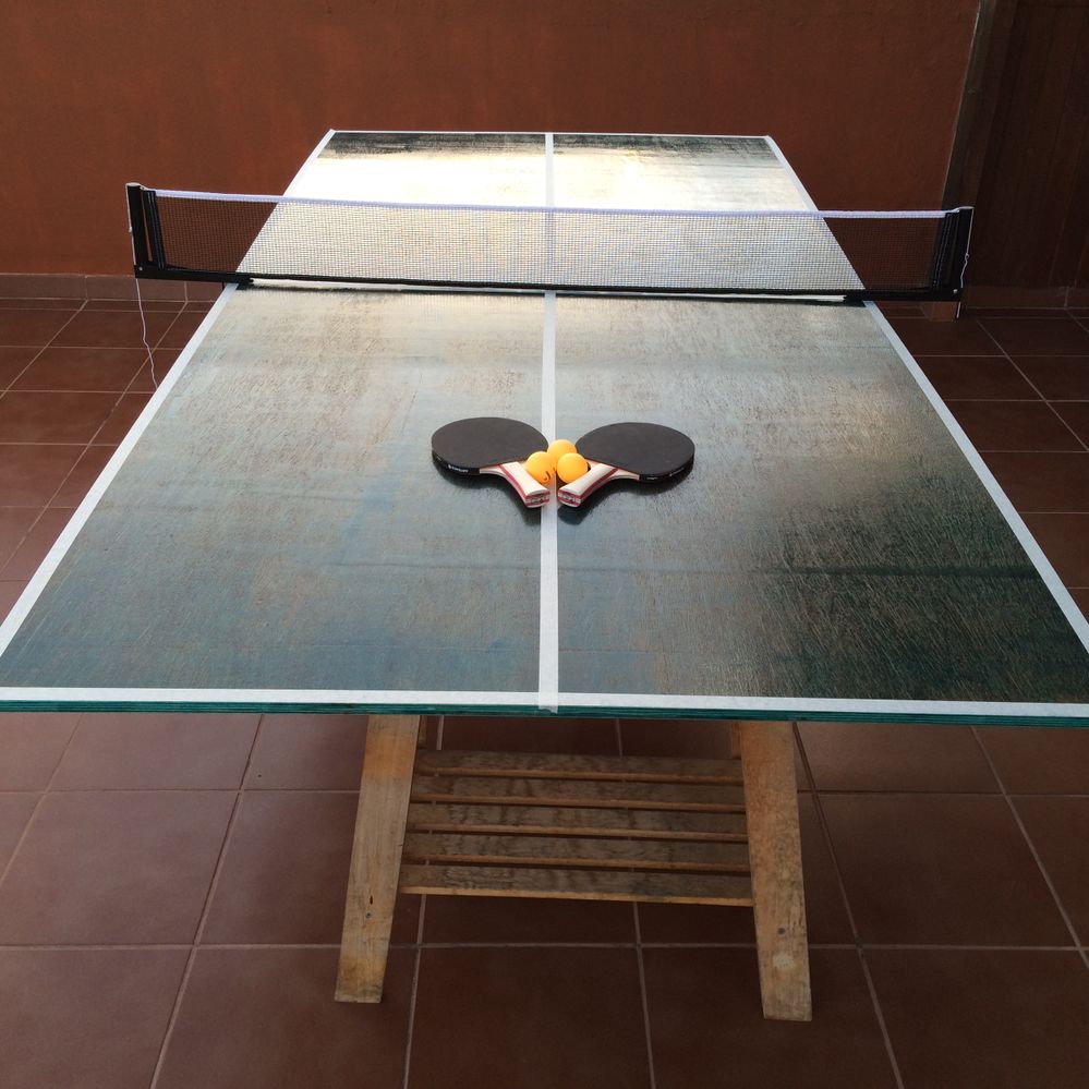 Bueno ignorar Electrónico Mesa de ping pong | Comunidad de Comunidad Leroy Merlin