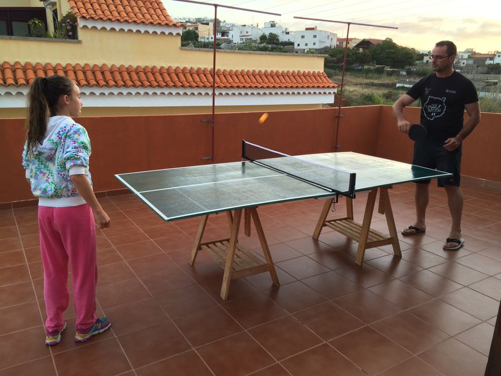 Bueno ignorar Electrónico Mesa de ping pong | Comunidad de Comunidad Leroy Merlin