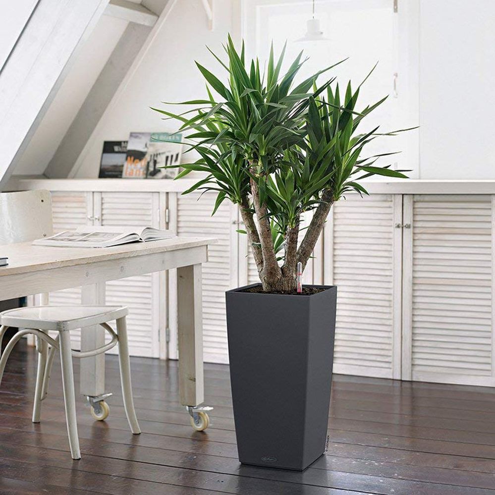 Come Combattere L inquinamento Dell aria Indoor Leroy Merlin
