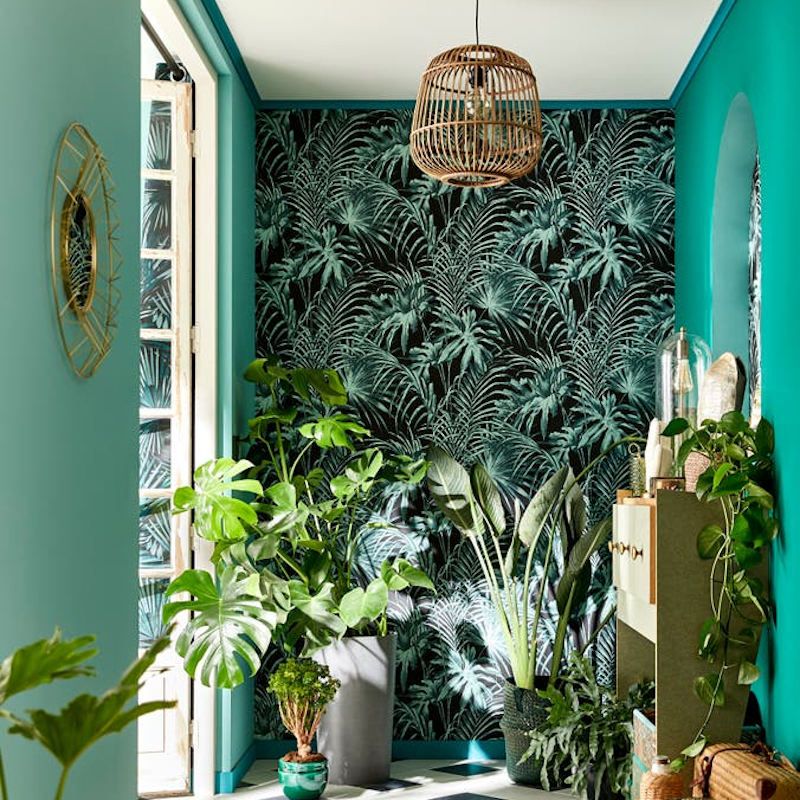 Arredare l'ingresso di casa con il verde per un effetto jungle avvolgente- Idea Leroy Merlin